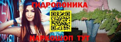 эйфоретик Берёзовский